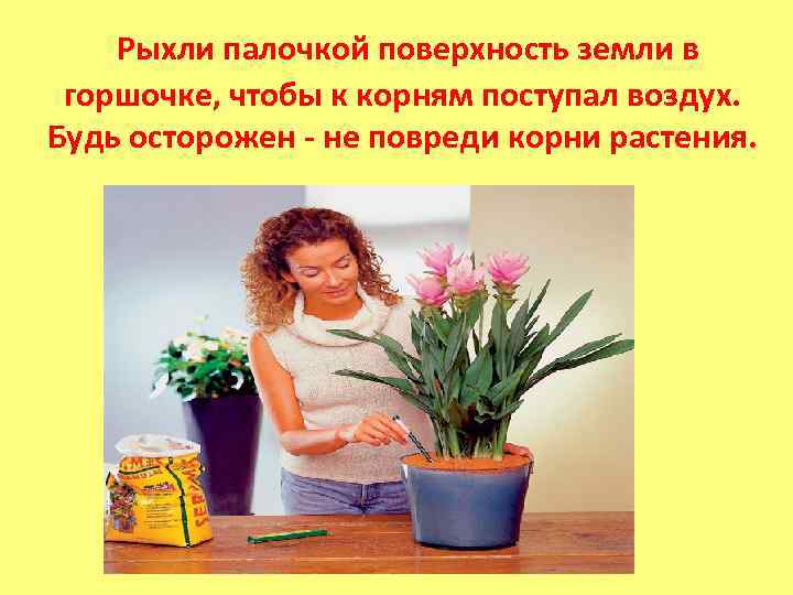 Зачем рыхлят почву при выращивании растений. зачем нужно рыхлить почву в огороде или в горшках с цветами