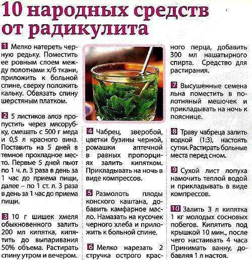 Настойка алоэ на спирту, водке, с медом: рецепт и применение