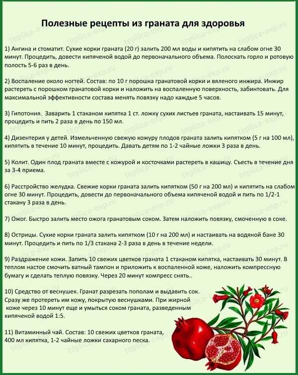 Полезные свойства и применение гранатовых корок в народных рецептах