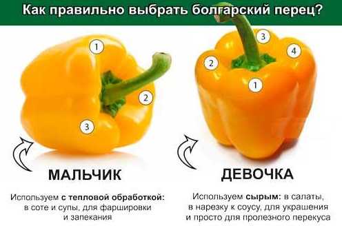 Как ускорить созревание перца. как правильно формировать перец, чтобы ускорить рост и созревание плодов.