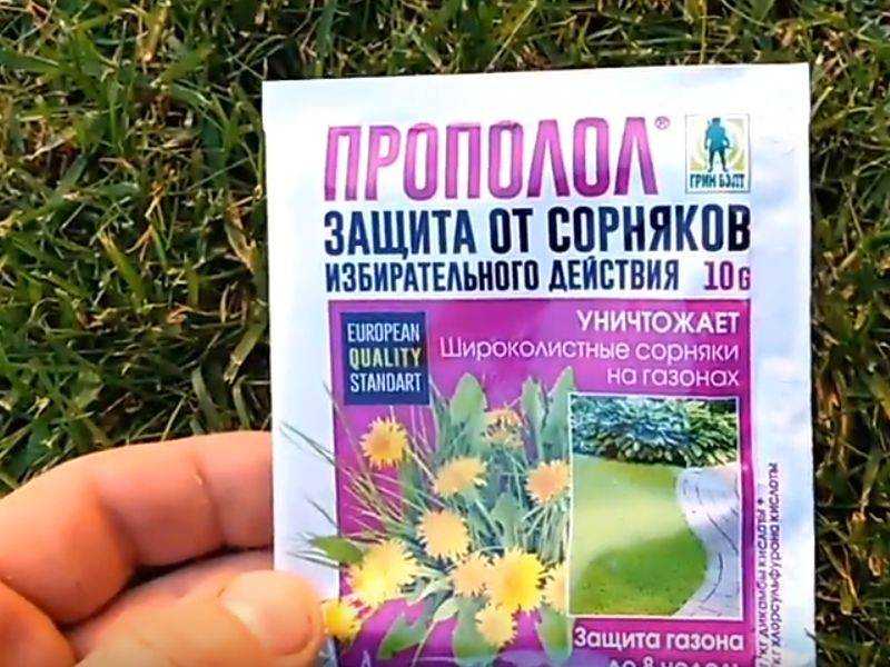 Сорняк мокрица: меры борьбы