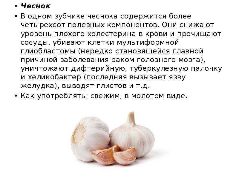 Молодой чеснок: польза и вред, рецепты, как вырастить в домашних условиях | zaslonovgrad.ru
