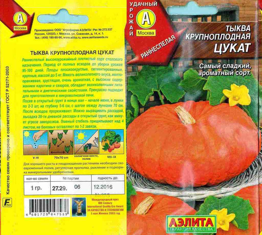 Сезон тыквы - какая лучше и как выбрать?