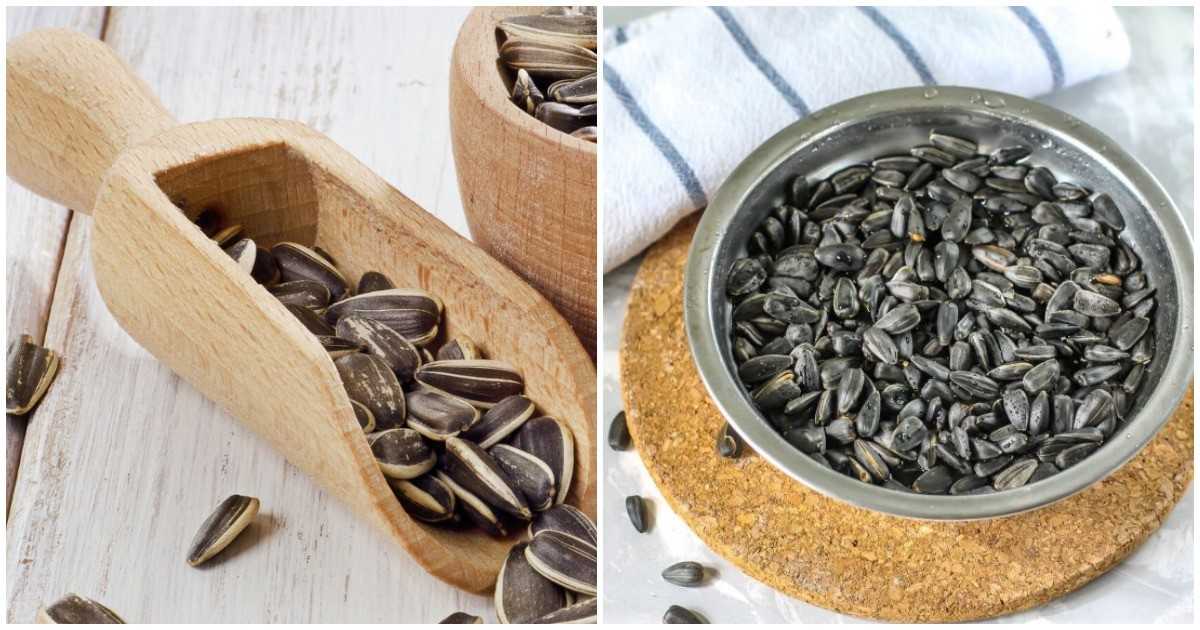 Как сушить семечки подсолнуха и тыквенные дома?