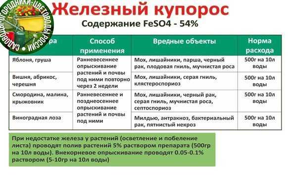Медный и железный купорос: разница и правила применения
