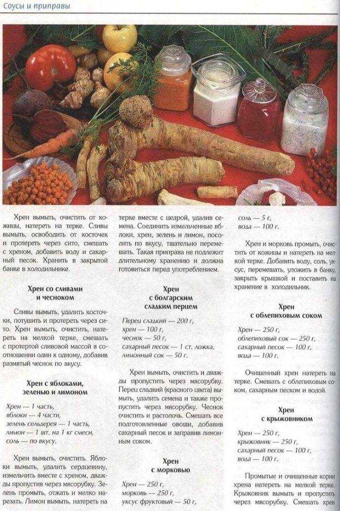Заготовка хрена на зиму: топ-14 рецептов, пошаговое приготовление