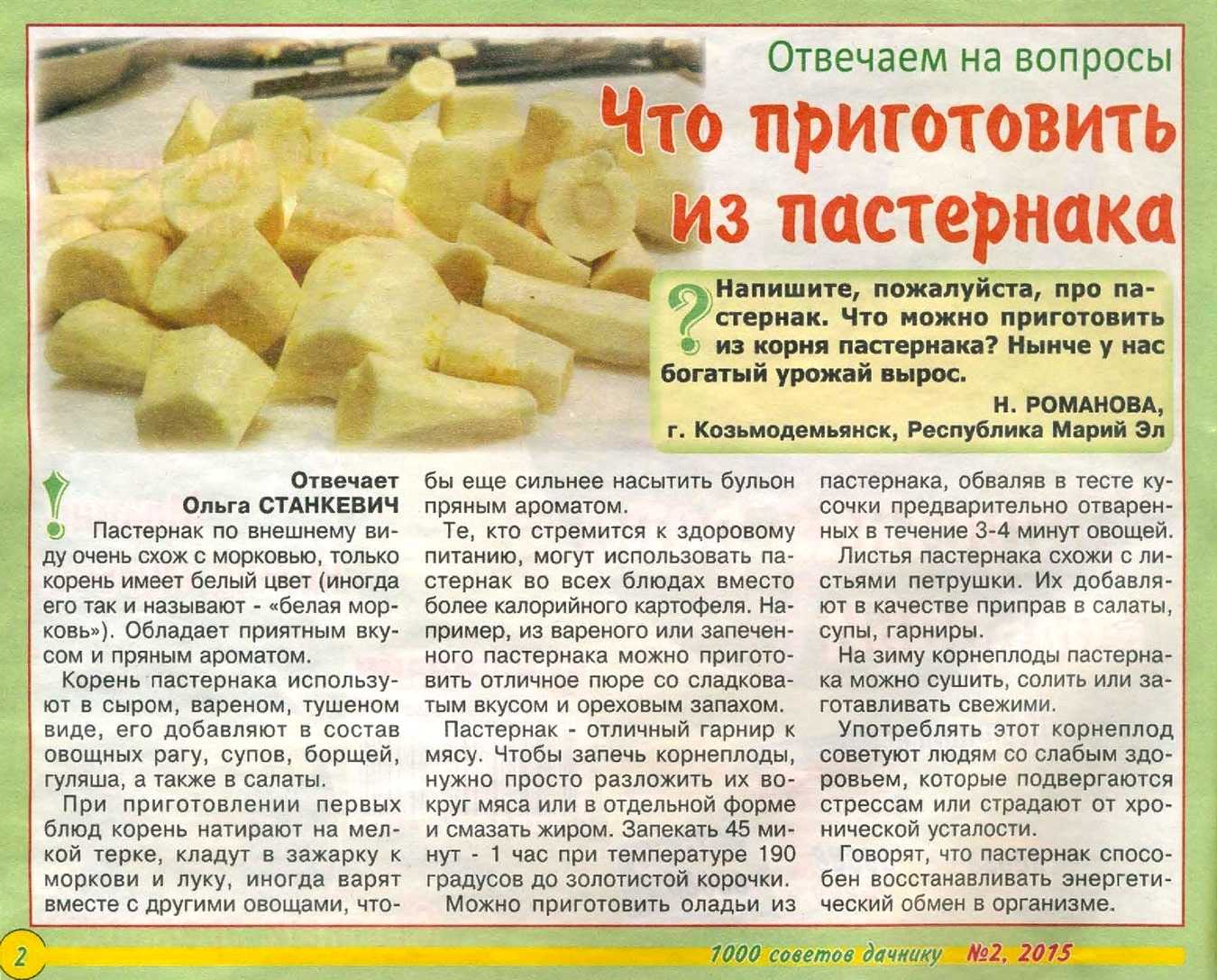 Пастернак овощ: 12 рецептов приготовления вкусных блюд