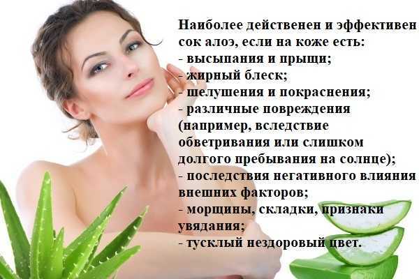 Рецепты более 15 масок из алоэ для лица в домашних условиях