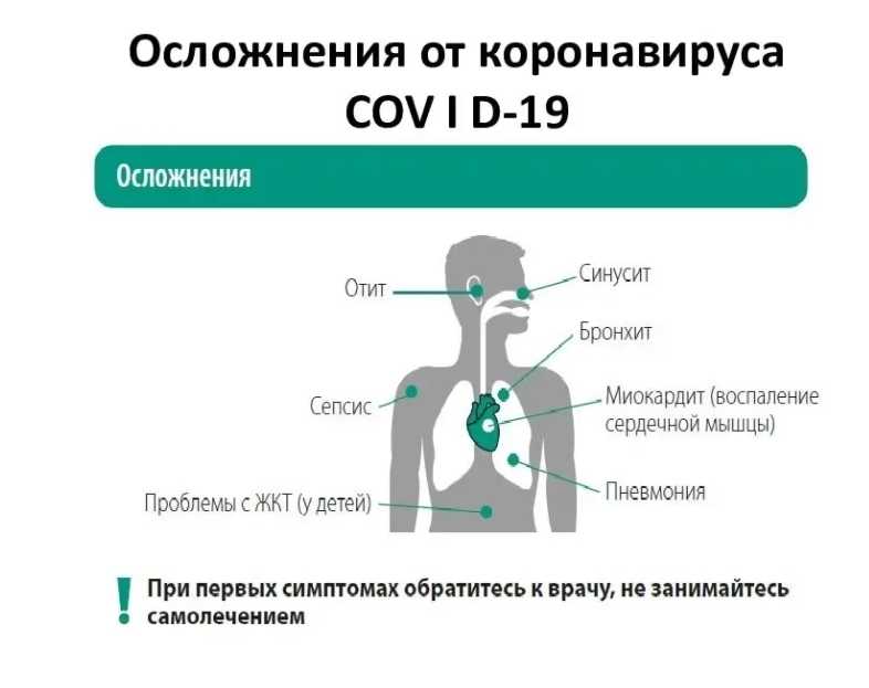 Как и чем можно продезинфицировать помещение от вирусов в домашних условиях?