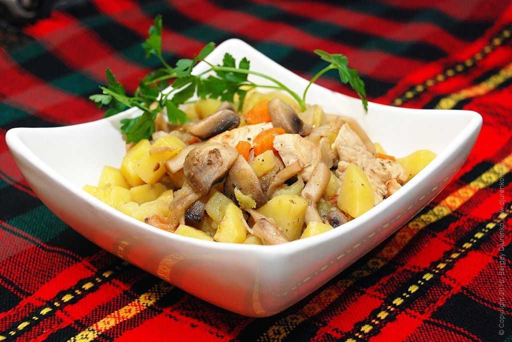 Как правильно и вкусно приготовить жареные вешенки