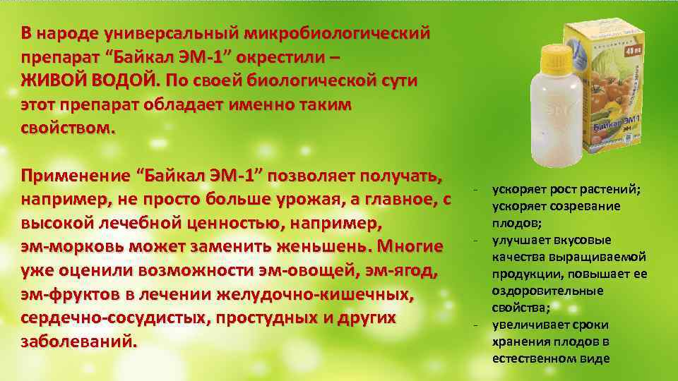 Байкал эм-1