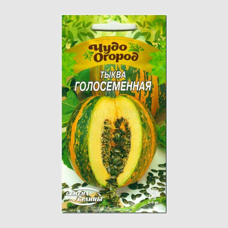 Тыква-голосемянка: описание и характеристики, лучшие сорта