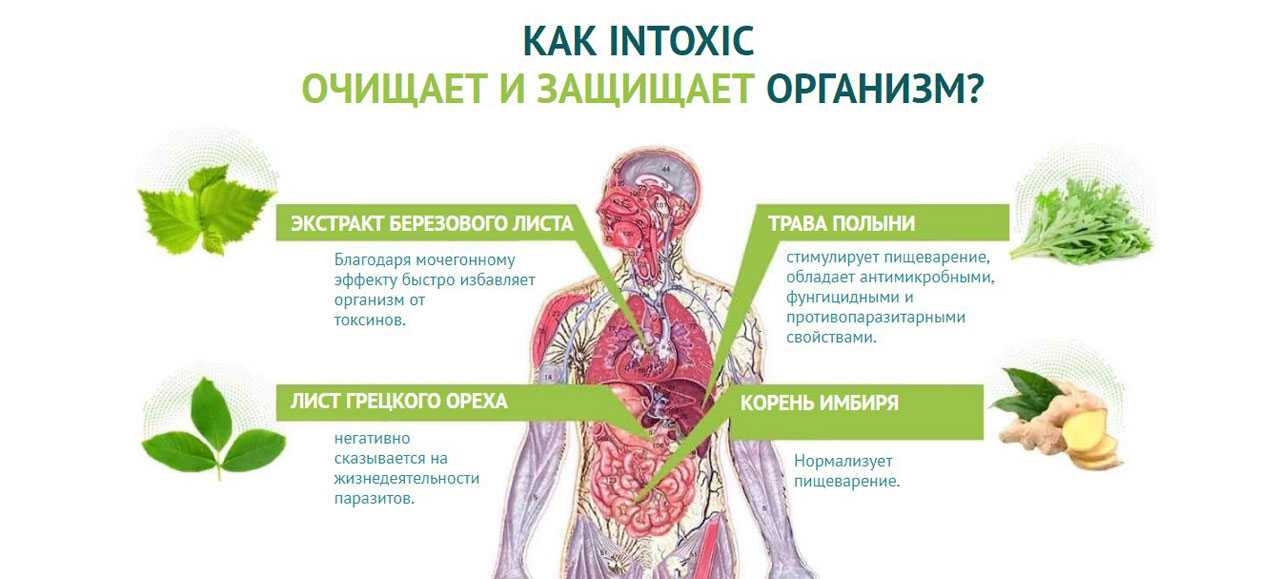Лечение от паразитов народными средствами в домашних условиях. народные рецепты от паразитов