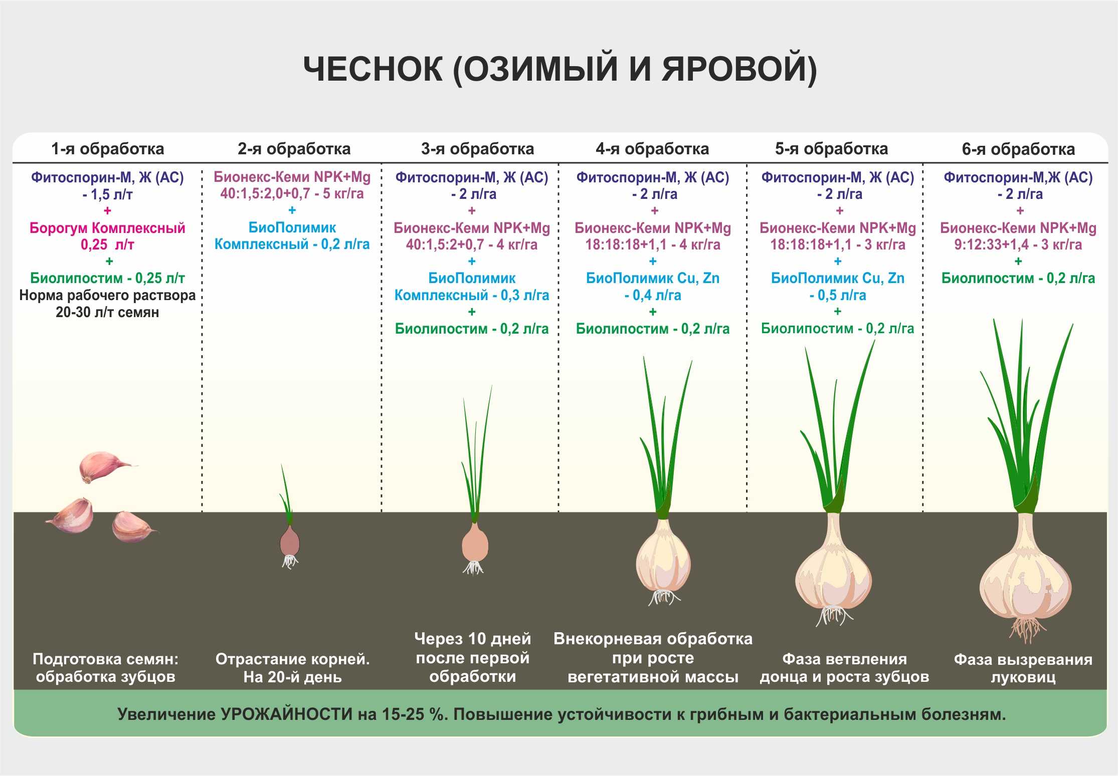 Выращивание розы из семян: когда и как сажать в 2018 году для получения крепких саженцев