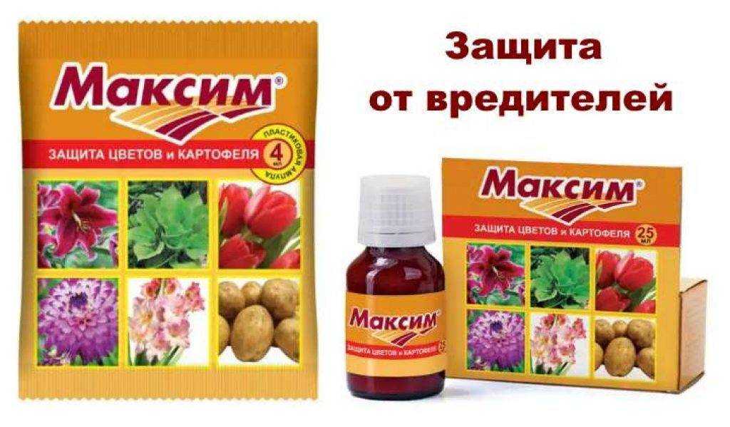 Препарат максим: инструкция по применению, обработка растений, состав, аналоги, видео