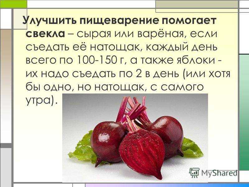 Свекла сырая: можно ли есть, польза и вред для организма