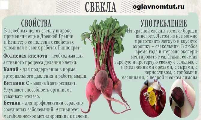 Отвар свеклы – полезные свойства и противопоказания к применению + видео