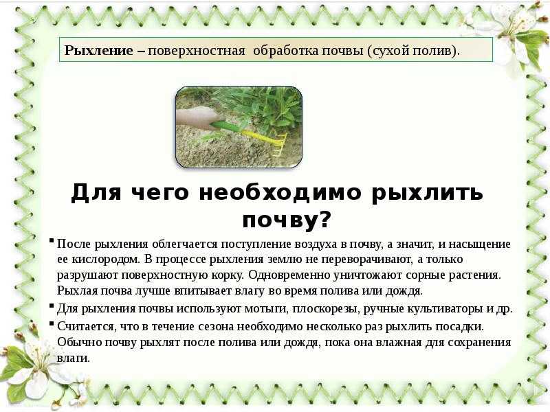 4 способа сделать тяжелую почву рыхлой и плодородной. как улучшить глинистую почву с помощью органики