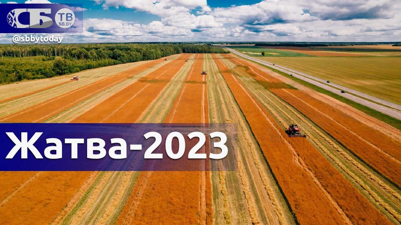 5 типичных ошибок при выращивании редьки