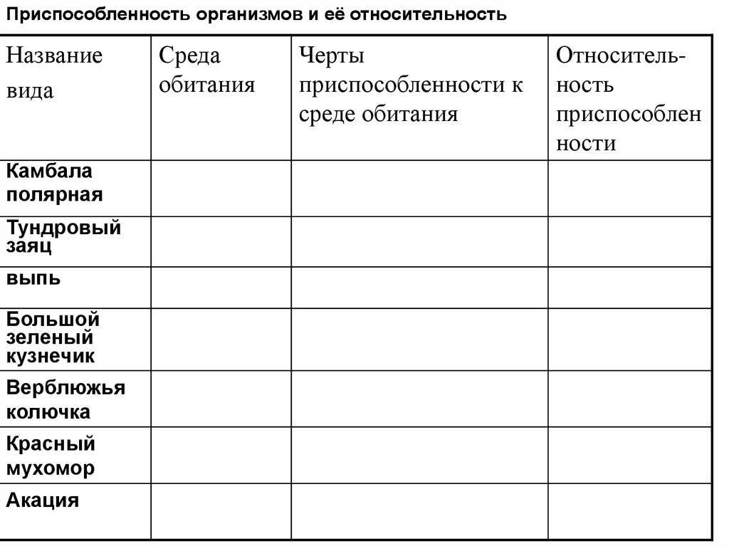 Экологические группы растений. конспект биология. подготовка к егэ, огэ, дви
