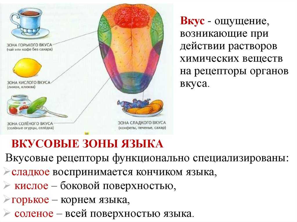 Легенды о мальве (шток-розе)