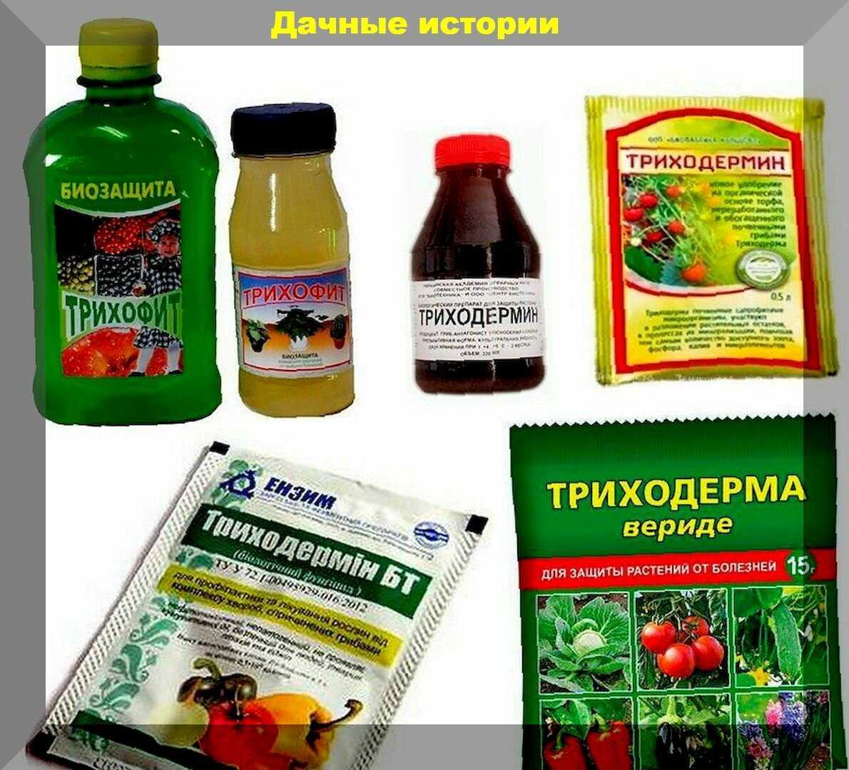Можно ли защитить урожай от болезней и вредителей без химии – разбираемся, чем обрабатывать огород!