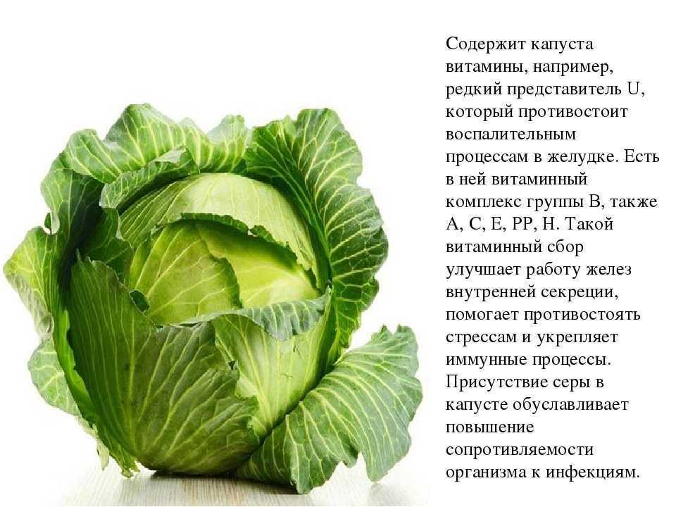 Как убрать горечь из капусты свежей для салата