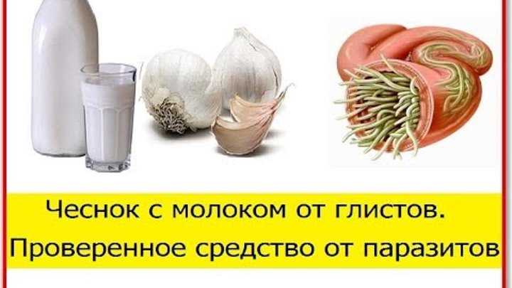 Чесночная клизма от глистов
