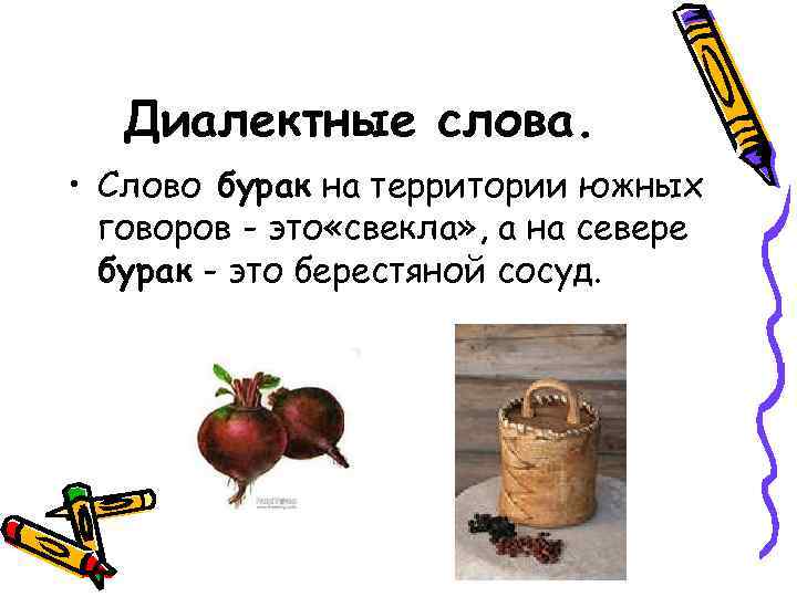 Сладкий корнеплод — буряк: что это такое, разница со свеклой, как правильно называть?