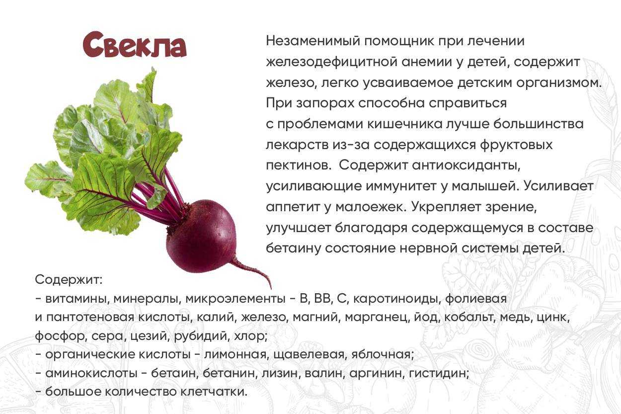 Посадка виктории в августе и сентябре: как правильно