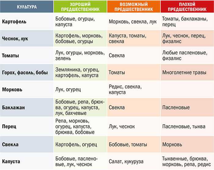 9 огородных культур, которые хорошо растут в тени