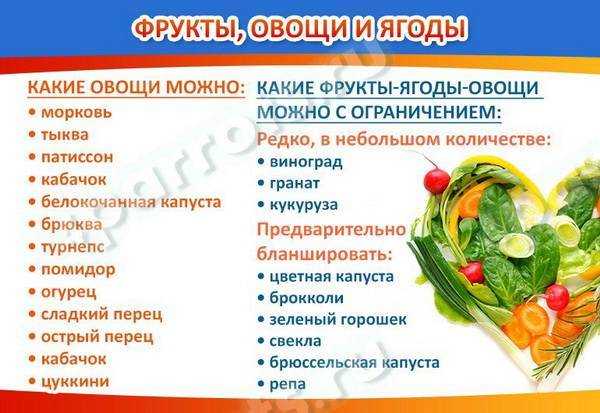 Чем кормить домашних крыс. список разрешенных и запретных продуктов