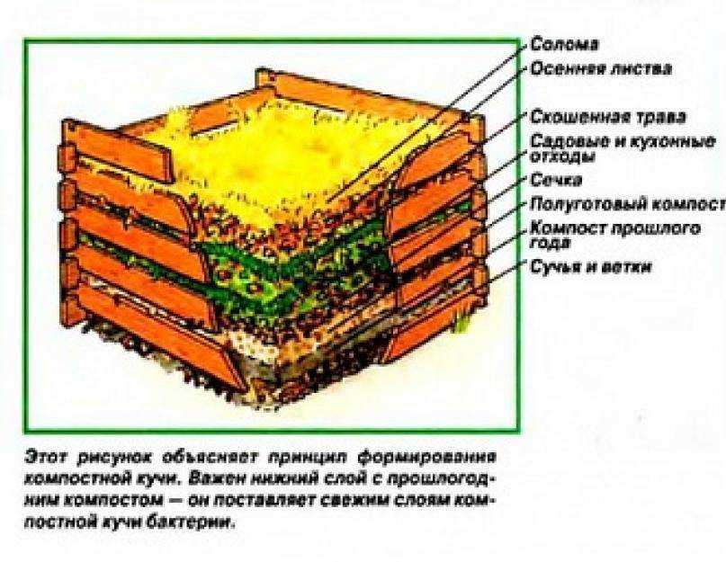 ♻ топ-10 рецептов, как получить перегной из скошенной травы и сорняков легко и быстро на даче и удобрить землю