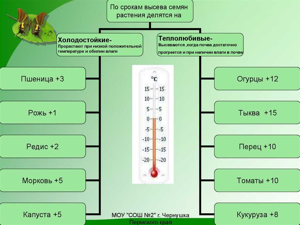 Теплолюбивые растения. холодостойкие растения. - биология - открытые уроки - ашық сабақтар - ұстаздар сайты