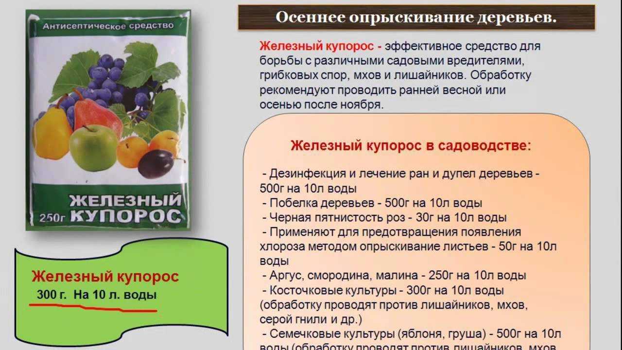Обработка винограда медным купоросом: преимущества, эффективность, технология – сайт о винограде и вине