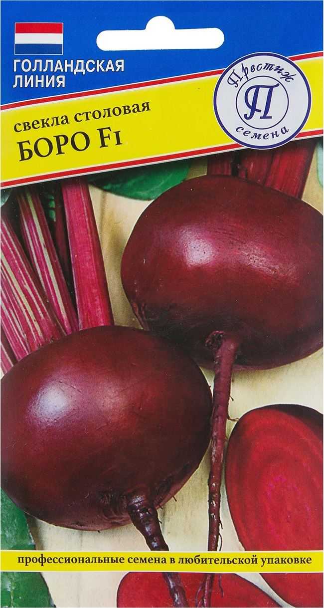 Свекла пабло: описание и характеристика сорта, отзывы дачников с фото