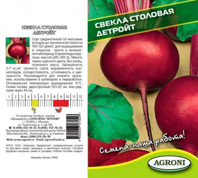 Свекла мулатка: характеристика и описание сорта, фото, отзывы садоводов, видео