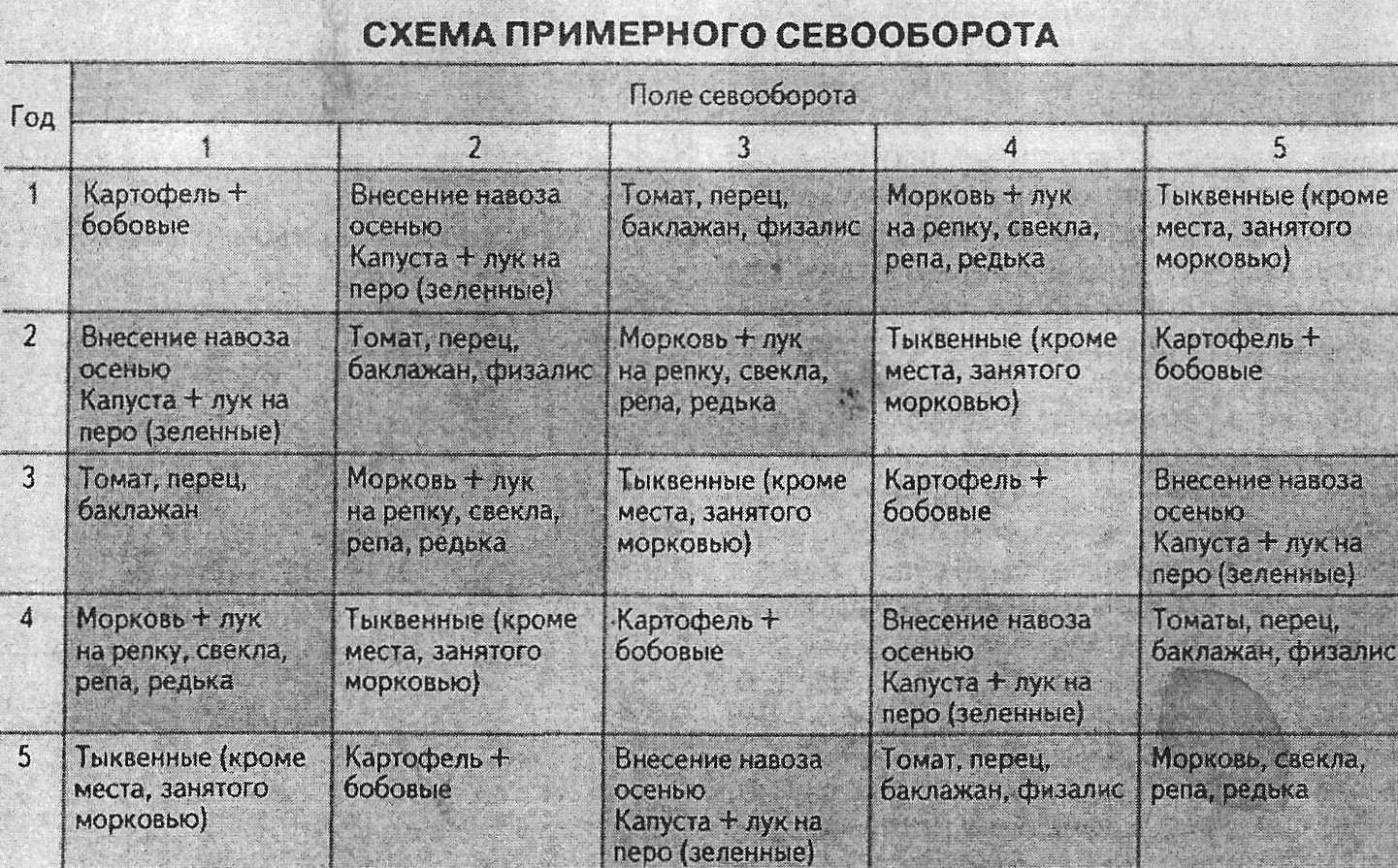 Севооборот в огороде схема