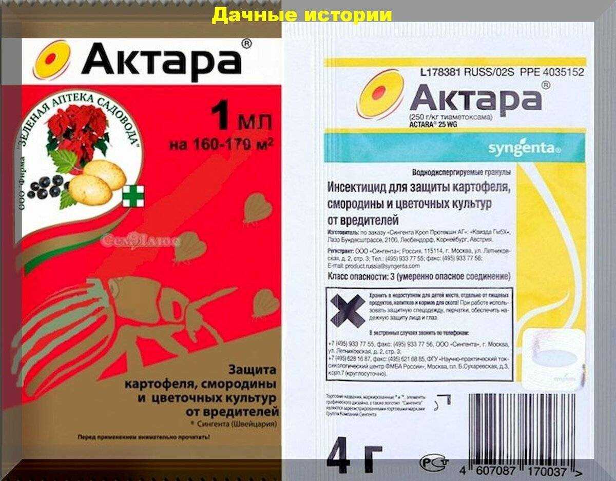 Как применять средство актара для орхидей боремся с вредителями!