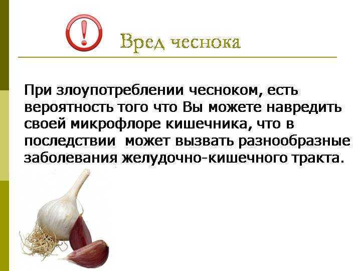 Зеленый чеснок: польза и вред, приготовление