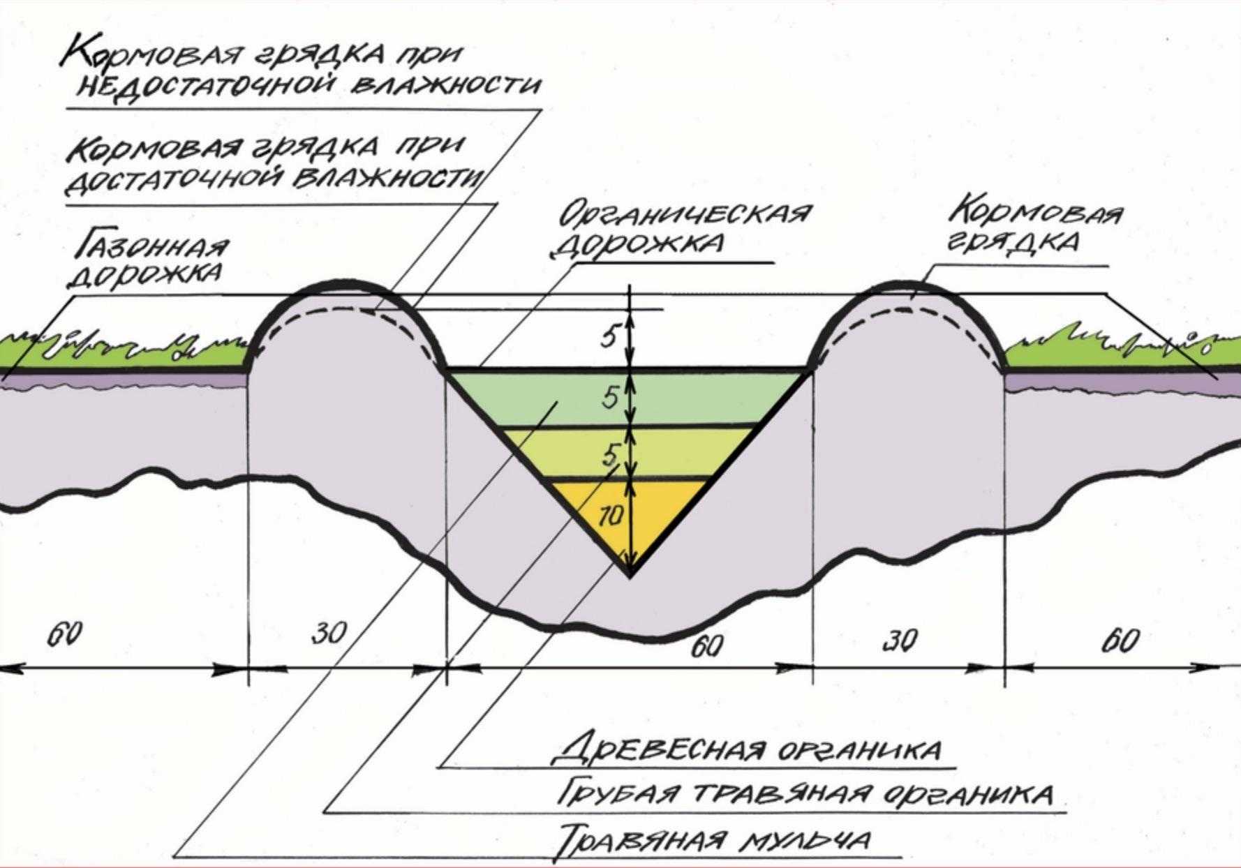 Органические грядки: что это и какие бывают