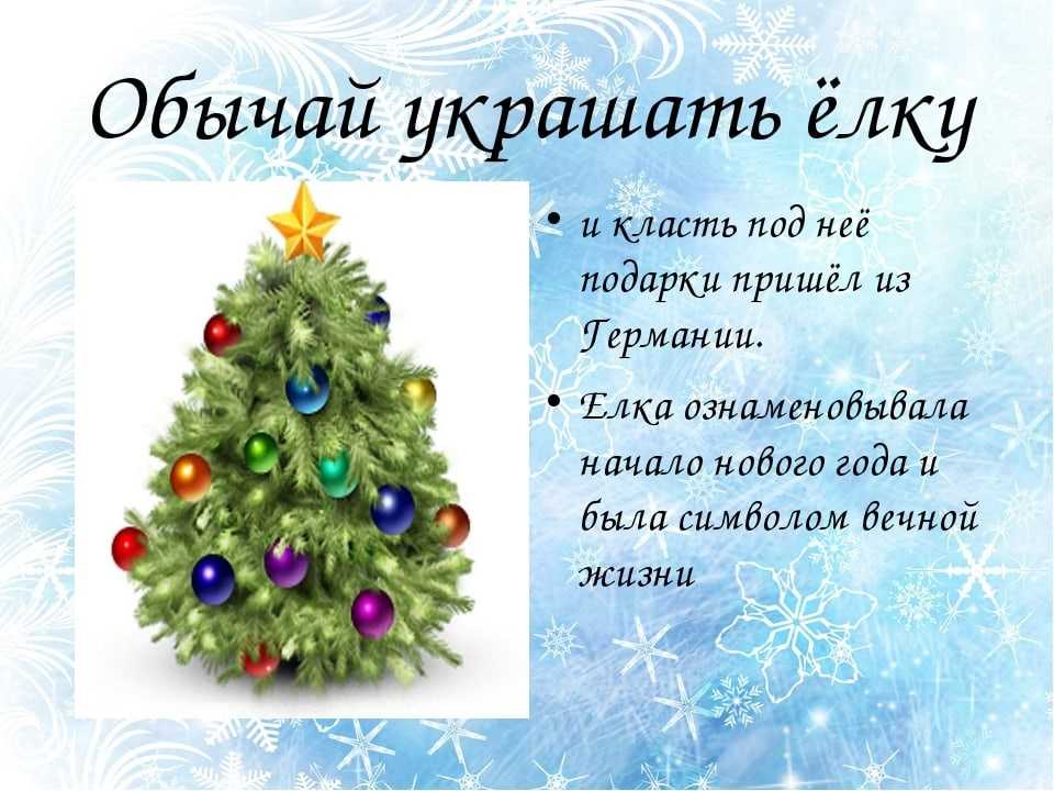 Ель обыкновенная | лесная кладовая