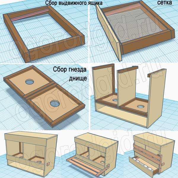 Куриные гнезда с яйцесборником своими руками чертежи