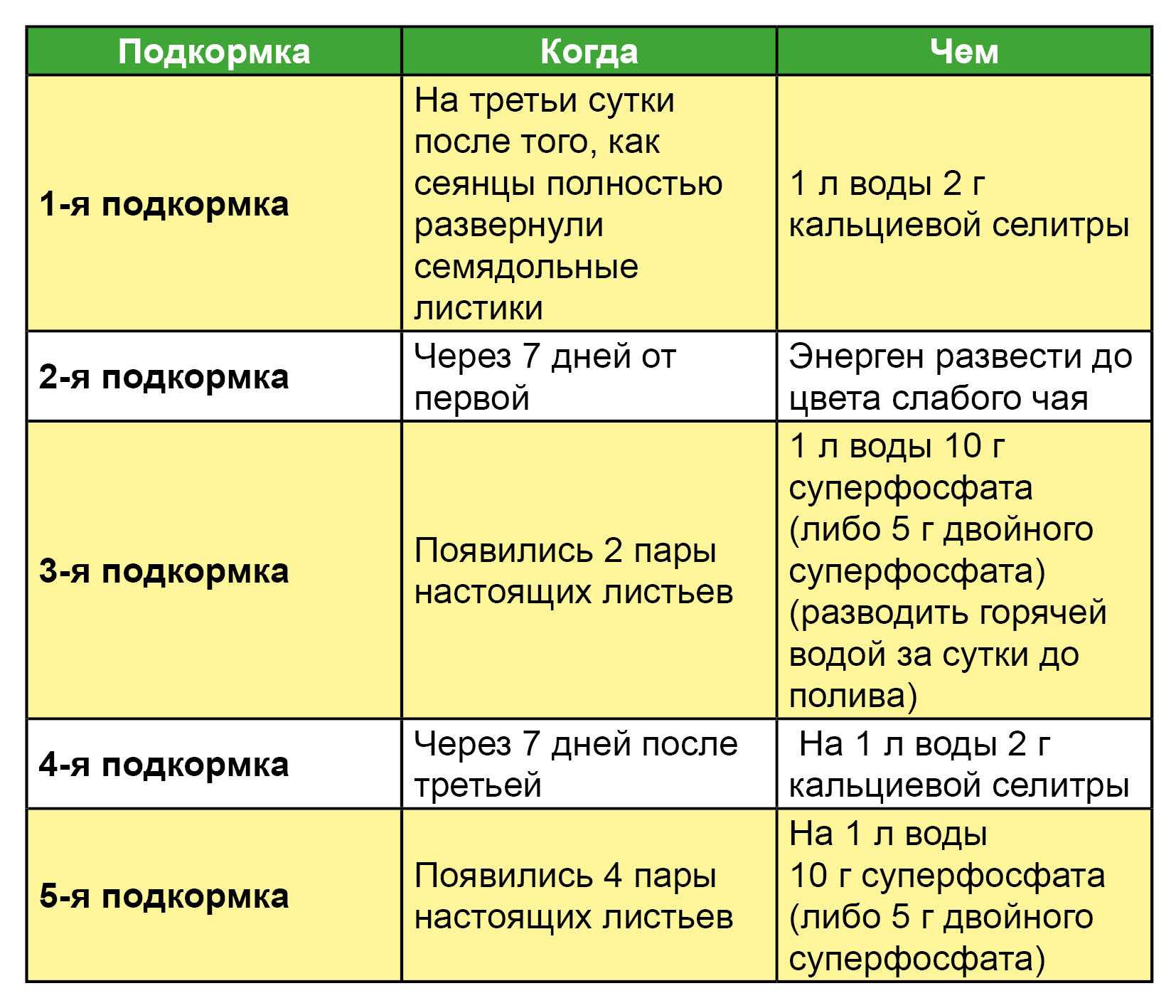 Глоксиния: уход в домашних условиях, выращивание из семян, фото