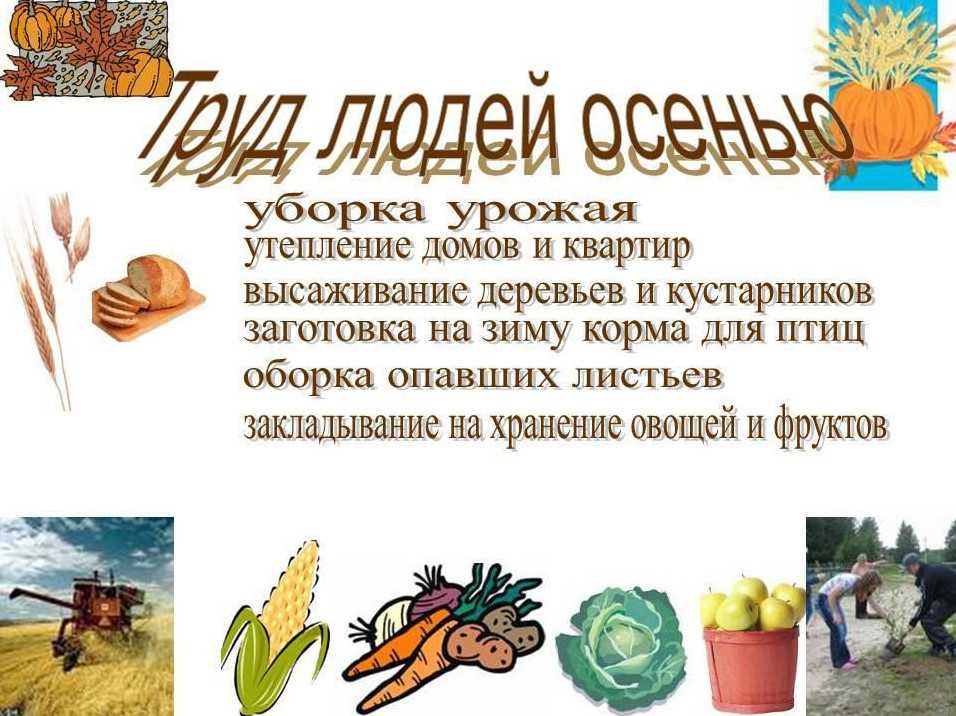 Что делают люди осенью в доме саду и огороде. что делают люди осенью. | зелёный сад
