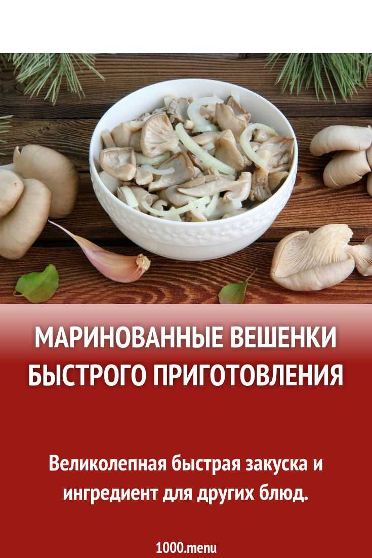 Рецепты вешенок на зиму: полезные свойства и состав грибов, консервирование и засолка в домашних условиях
