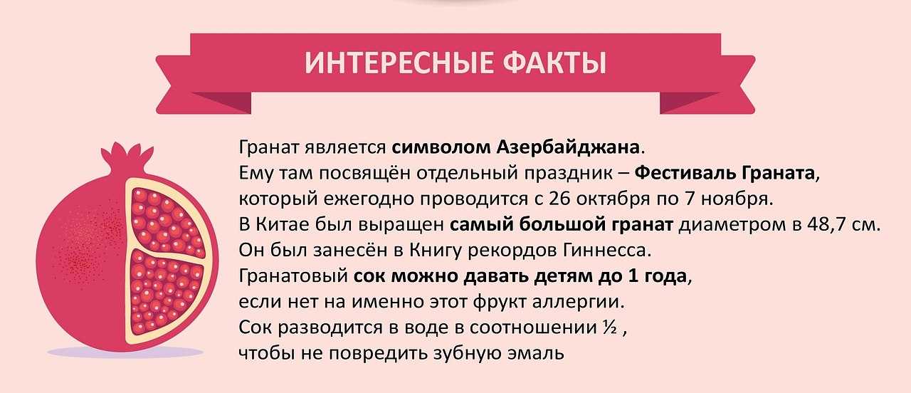 Гранат: это фрукт или ягода, польза, вред, как выбрать, чистить, есть