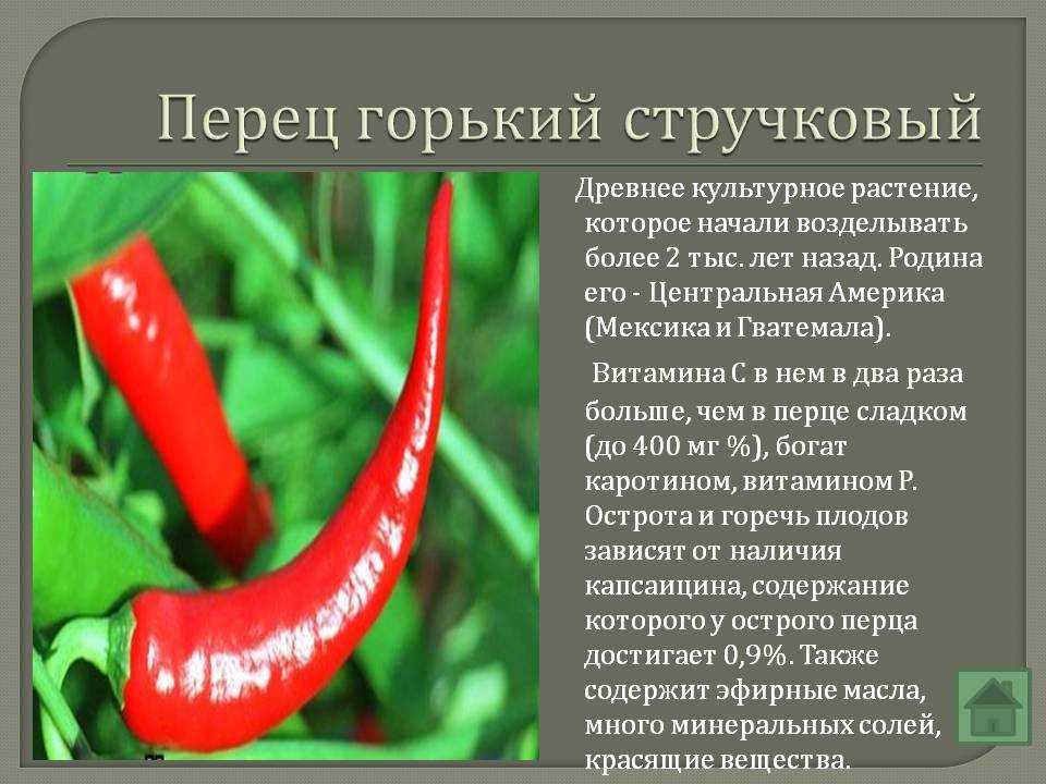 Почему не краснеют перцы в теплице и открытом грунте, что делать