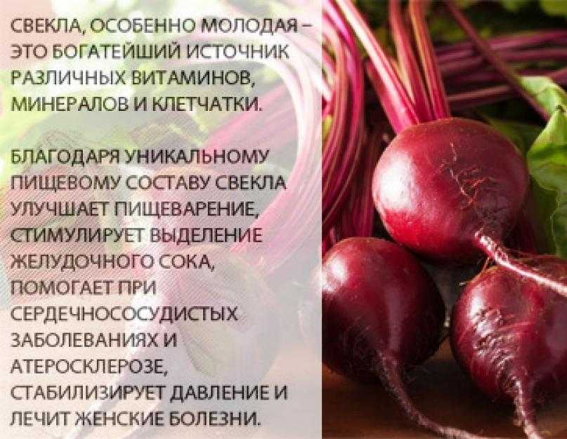 Можно ли есть сырую свеклу, правила потребления, полезные свойства и рецепты салатов