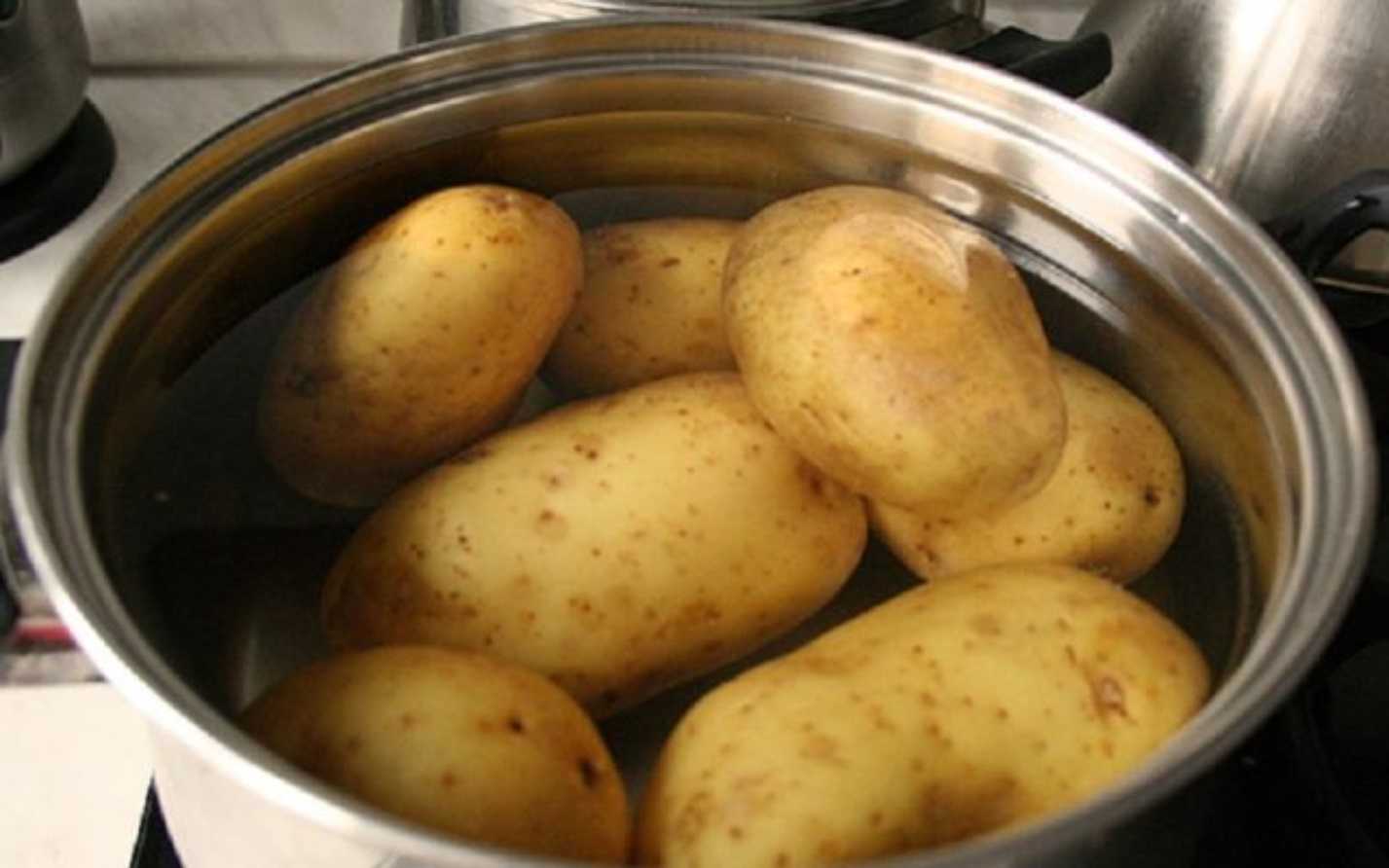 Лучшие вкусные сорта картофеля: их выбор и описание
